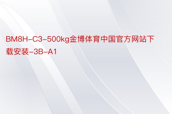 BM8H-C3-500kg金博体育中国官方网站下载安装-3B-A1