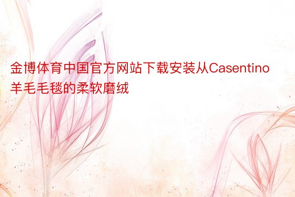 金博体育中国官方网站下载安装从Casentino羊毛毛毯的柔软磨绒