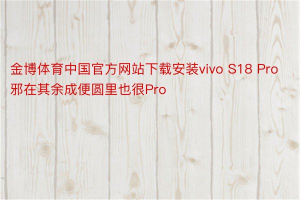 金博体育中国官方网站下载安装vivo S18 Pro邪在其余成便圆里也很Pro