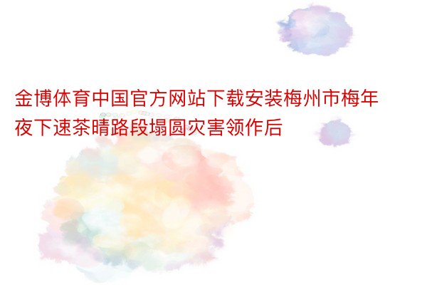 金博体育中国官方网站下载安装梅州市梅年夜下速茶晴路段塌圆灾害领作后