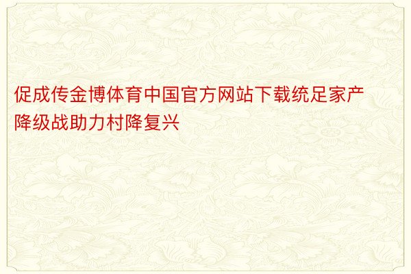 促成传金博体育中国官方网站下载统足家产降级战助力村降复兴